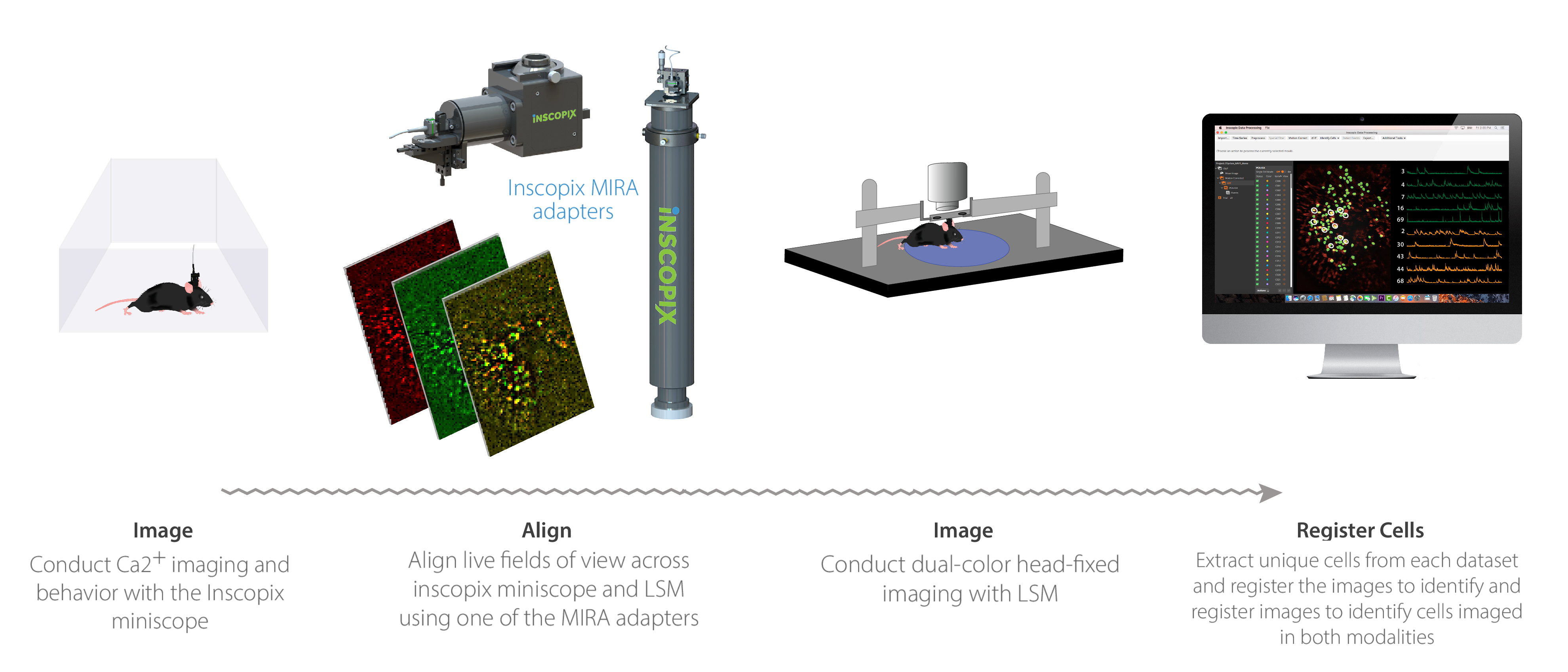 MIRA WORKFLOW_EN.jpg